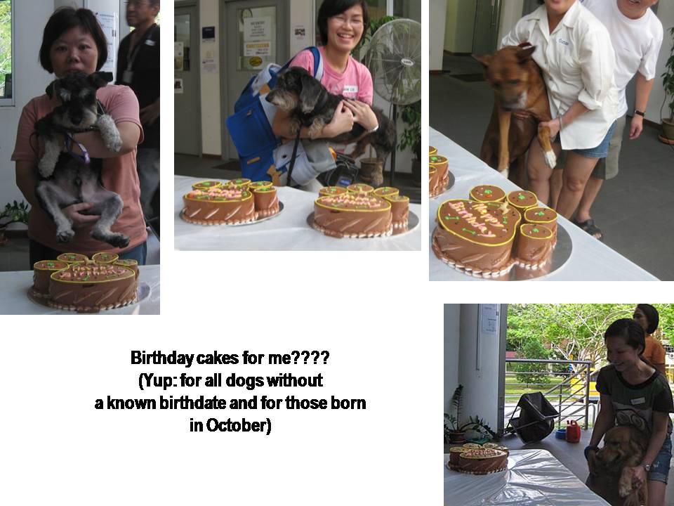 [Slide7.JPG]