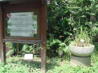Chinese Zodiac Plant