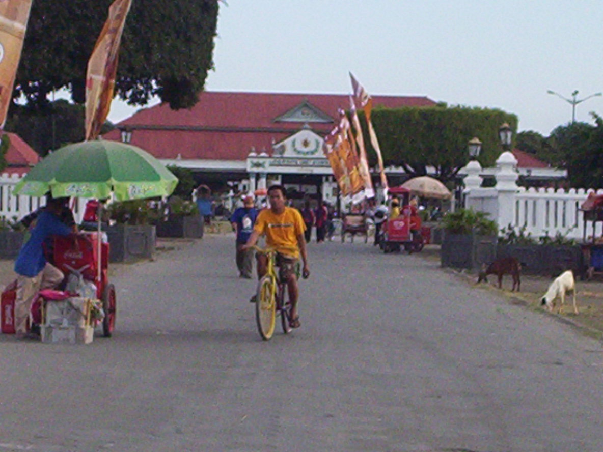 [000_0985.JPG]