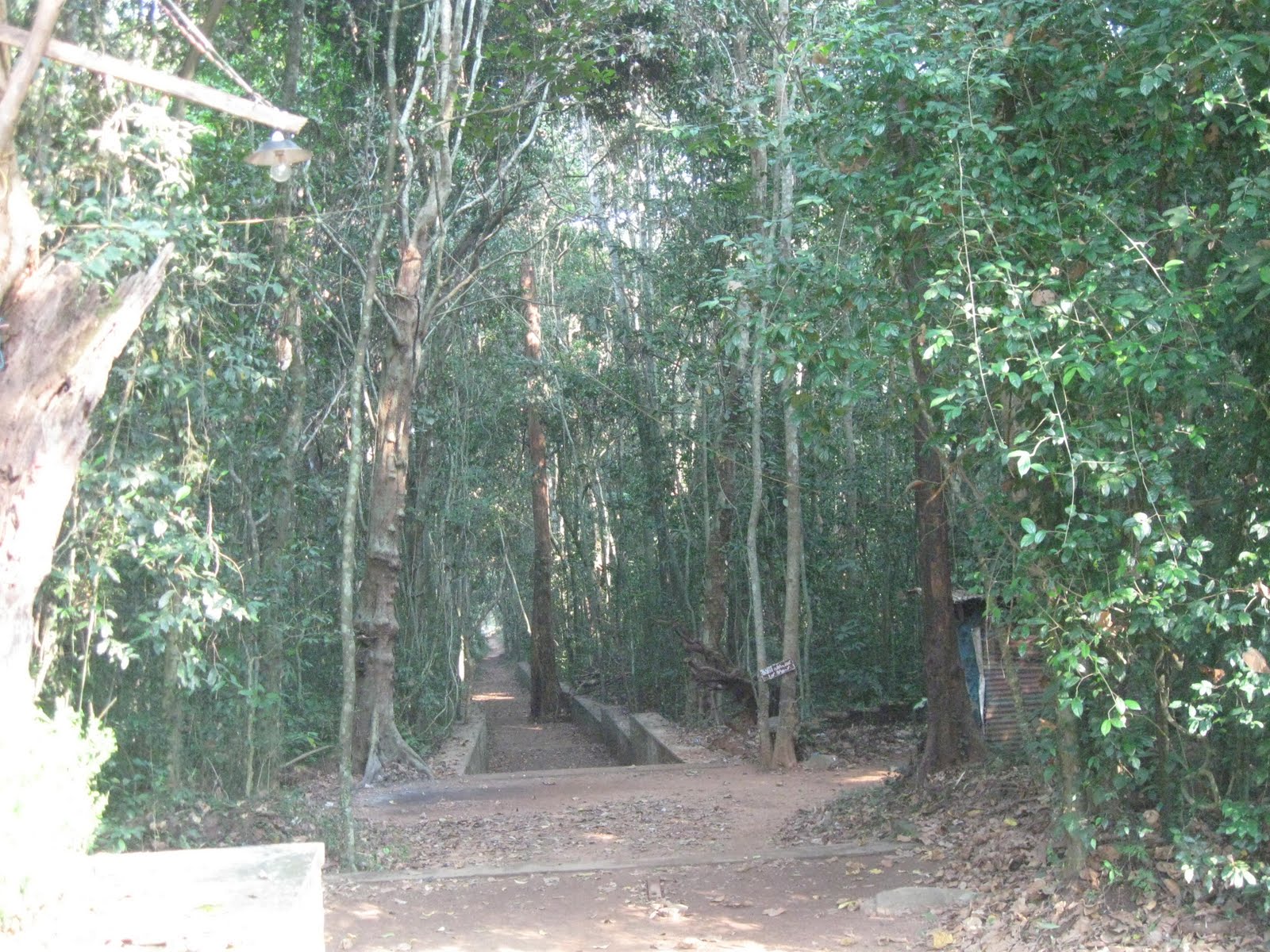 Iringole Forest Temple