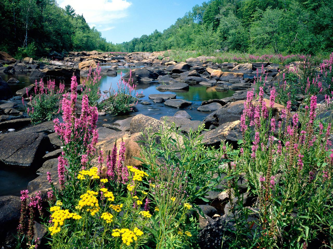 http://4.bp.blogspot.com/_FQx4JXMzHVQ/TMcmSPtRemI/AAAAAAAAB5g/LbjLQFt10Fg/s1600/Wisconsin_River%252C_Ice_Age_National_Scientific_Reserve%252C_Wisconsin.jpg