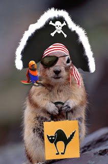 Aaaargh me hopes me gets some nuts for trick or treats.