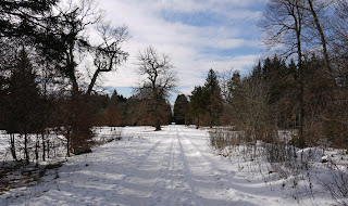 Römerstraße Via Julia im Eichelgarten Römerstraße Via Julia im Eichelgarten