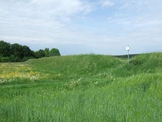 Keltenschanze Buchendorf