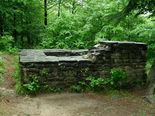 Wachposten im Färberwald