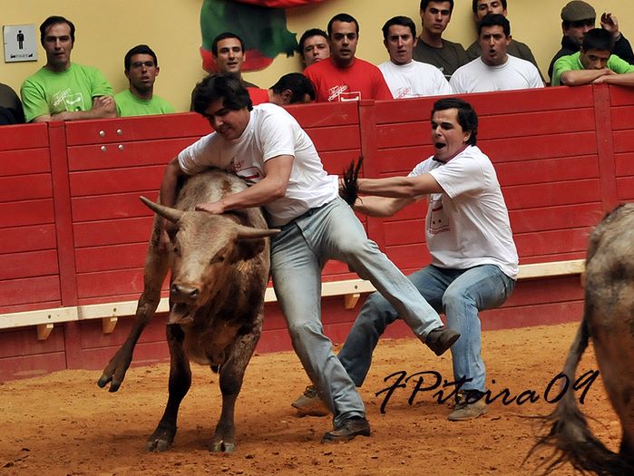 [cernelhas+1.jpg]
