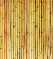 BAMBU ECOLÓGICO