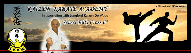 Kaizen Karate Academy