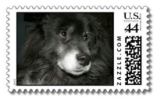 black chow chow shiba inu mix postage stamps