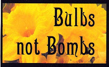 Bulbs Not Bombs