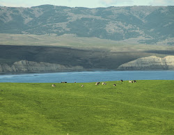 Un air de Normandie à Point Reyes