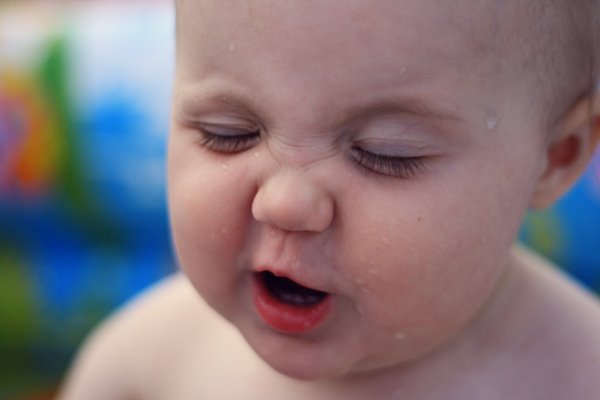 [IMG_2400li.jpg]