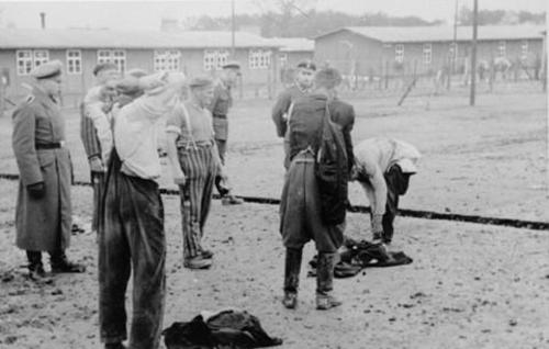 [buchenwald.jpg]