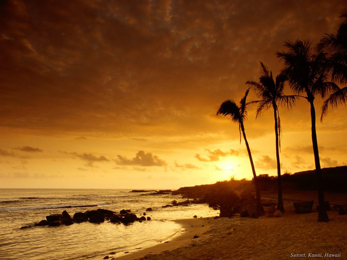 http://4.bp.blogspot.com/_FTjuZC61Ark/S_ANF9ta1BI/AAAAAAAAAA0/Ov0Rx929Wis/s1600/nature-wallpaper-90.jpg