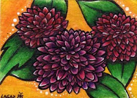 Dahlia by Melissa Muir