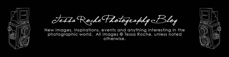 Tessa Roche Photography