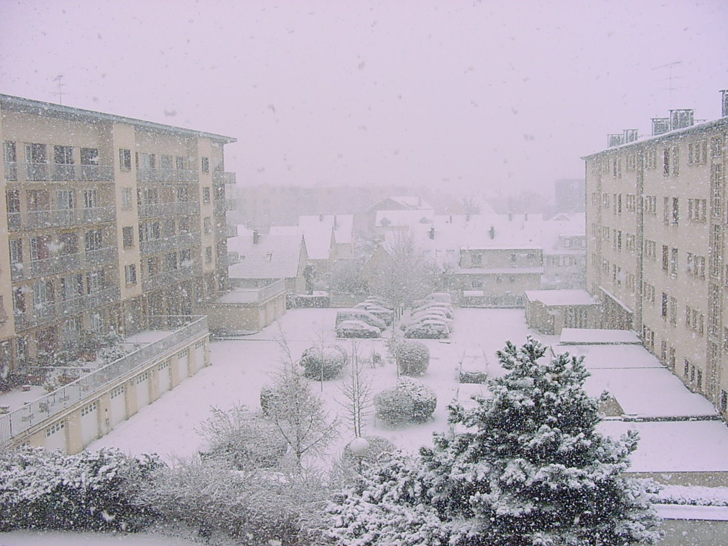 [DSC00010.JPG]