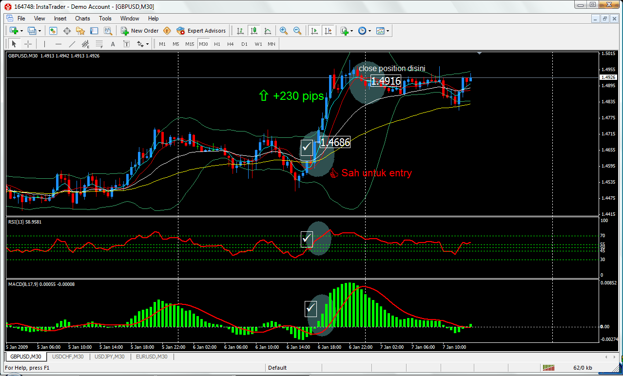 [formula+pips+v8.gif]