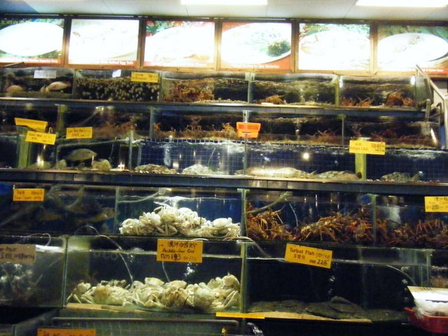 [Selection+of+Seafood+1.JPG]
