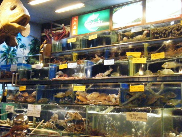 [Selection+of+Seafood+2.JPG]