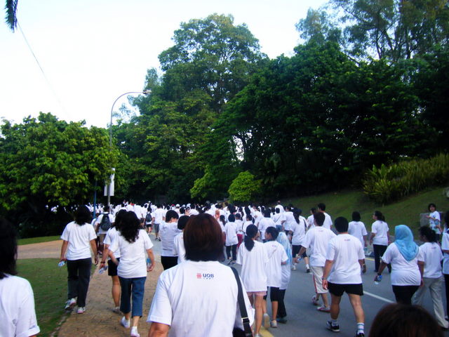 [UOB+Heart+Beat+Run+2008+a.JPG]
