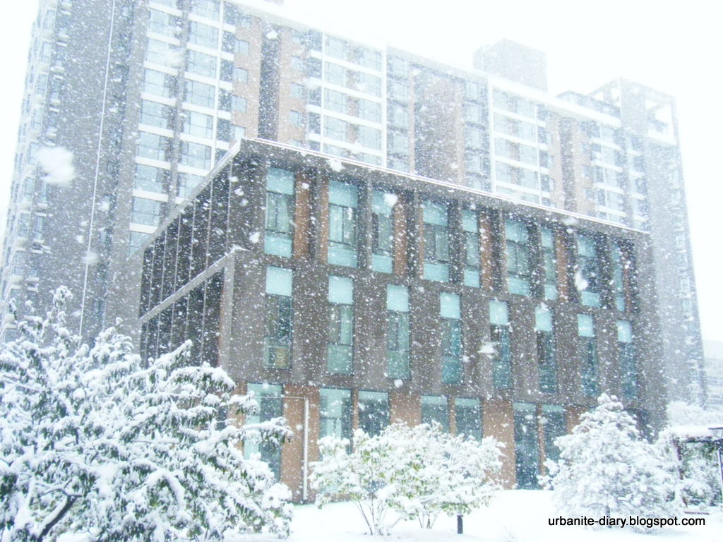 [Snow+in+Beijing+2.JPG]