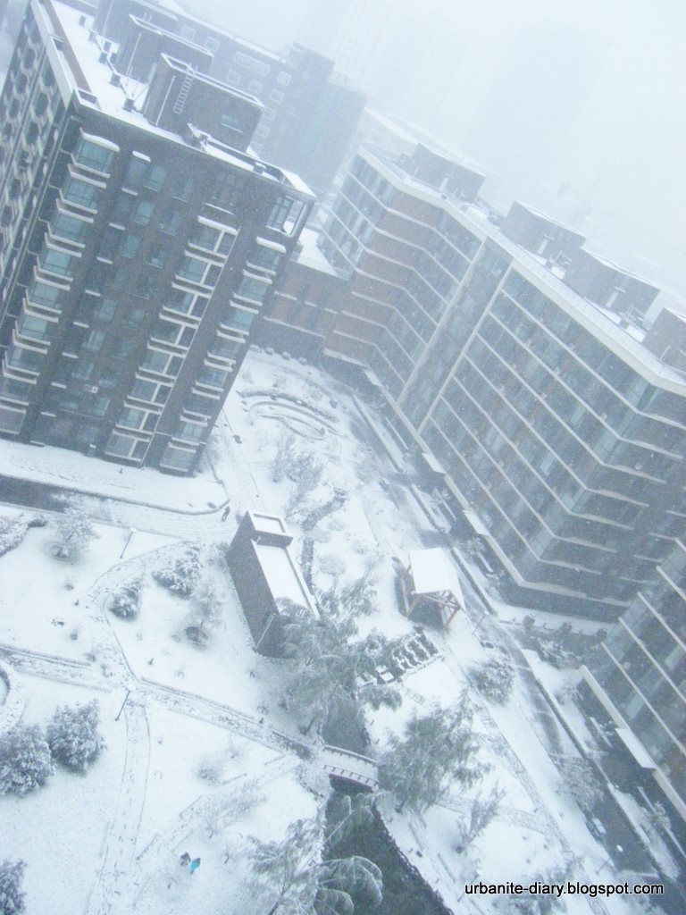 [Snow+in+Beijing.JPG]
