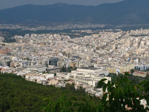 [IMG_0041.JPG]