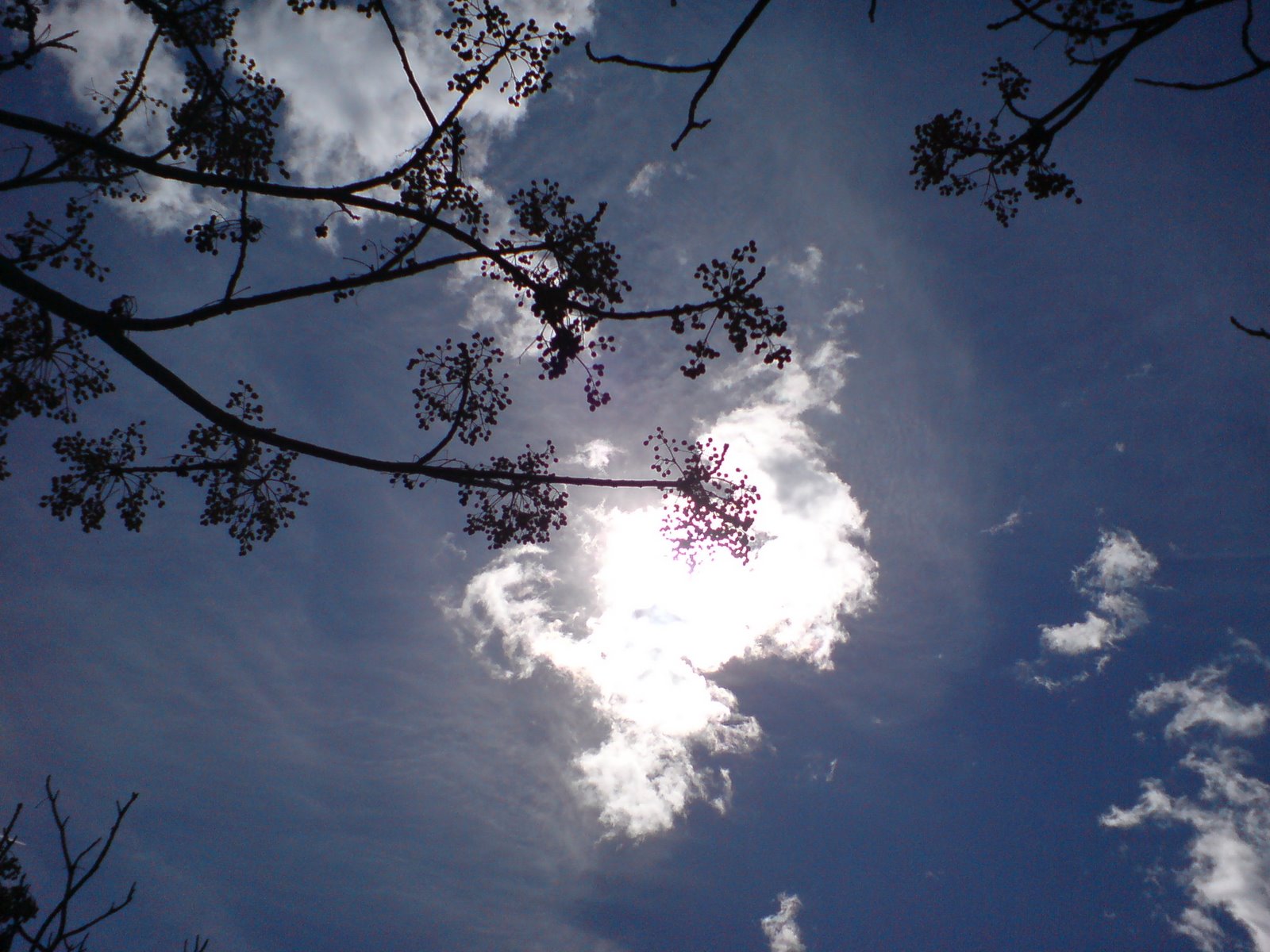 [DSC00173.JPG]