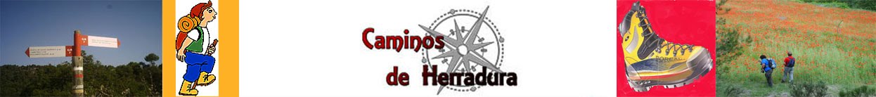 CAMINOS DE HERRADURA