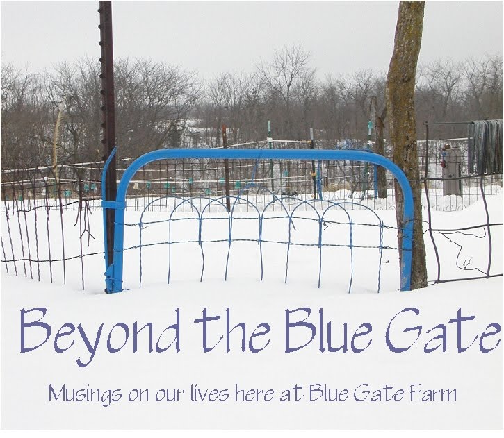 Beyond the Blue Gate