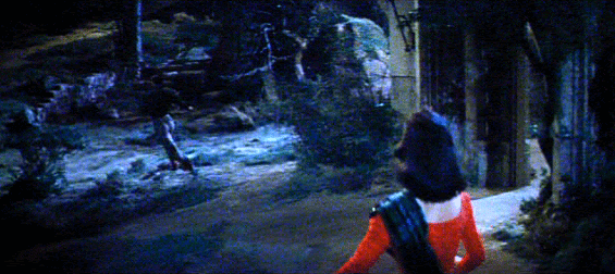 [30.gif]
