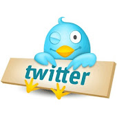 Siga-nos no Twitter