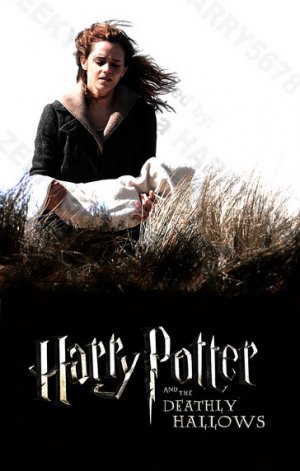 Deathly Hallows, Part 1. harry potter and the deathly hallows part 1 wallpaper. Deathly Hallows, Part 1.