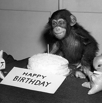Happy-Birthday-Chimp-Note-Card-C11765288.jpeg