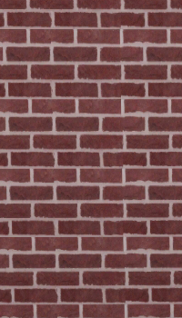 [Muro_3.png]