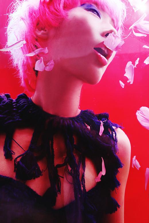 [flickr.com-photos-yummyauri2.jpg]