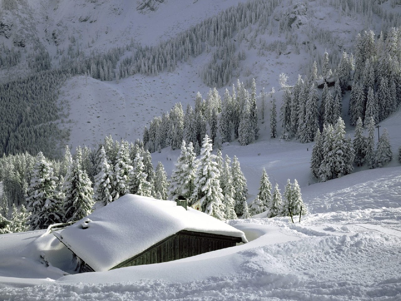 http://4.bp.blogspot.com/_FYnCj-e7zkY/TLGvWXCr9lI/AAAAAAAAAIk/sAiQ67zQBag/s1600/ACD+Wallpaper.bmp