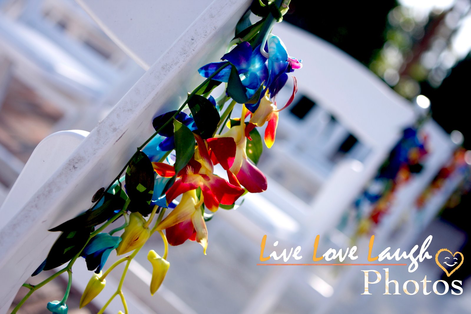 [Florida+wedding+1.jpg]