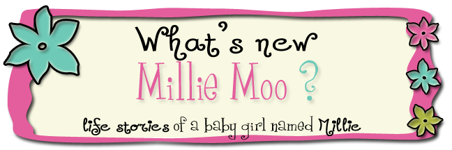 What's new, Millie Moo?