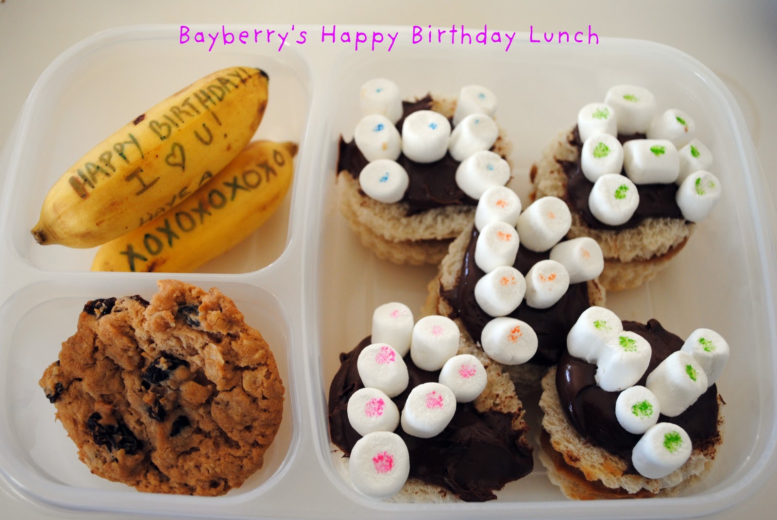 360 Lunch Boxes: Saturday is Bayberry's Birthday