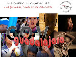 COV-Guadalajara