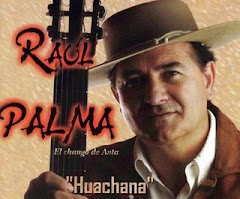 Raúl Palma