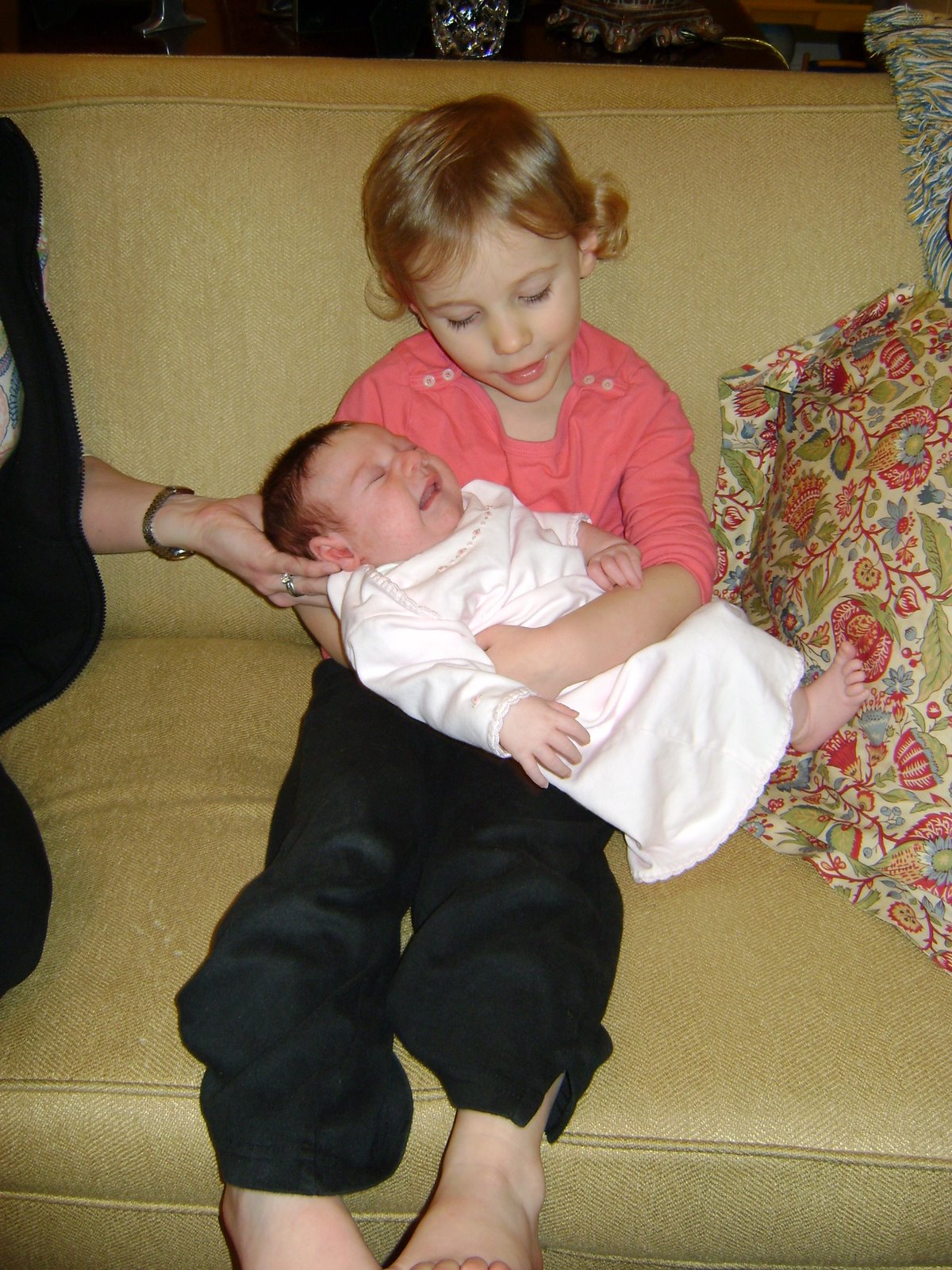 [DSC01187.JPG]