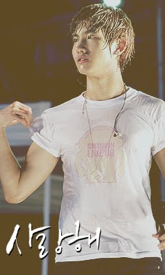 [f0047480_4aa0ff0363a1d_002.jpg]