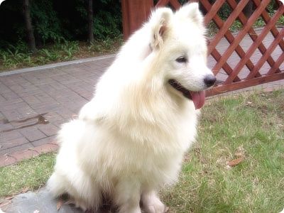 [6e22ef8e8e6237c5f11f363b.jpg]