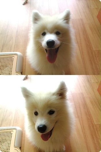 [c807e9fae523ce094e4aea3b.jpg]