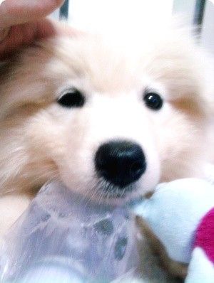 [393e261f9026addf1ad57602.jpg]