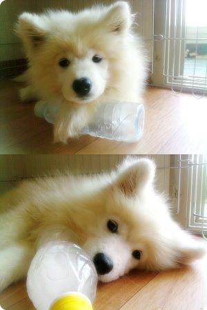 [2bfc61f2f6b24a7b342acc3b.jpg]