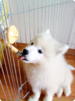 [4dea5225e5203400d5074205.jpg]